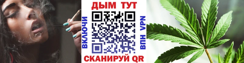 Шишки марихуана сатива  сколько стоит  Хасавюрт 